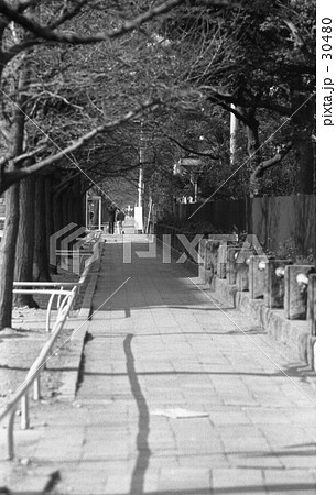 横浜・山下公園　昭和45年1月 30480