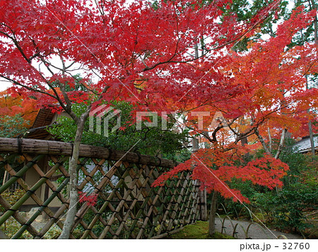 京都　光悦寺　庭園の紅葉 32760
