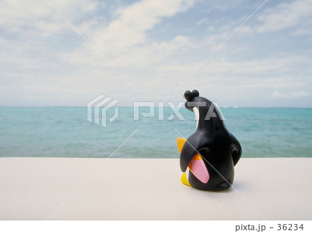 ペンギン2 ペンギン2 36234