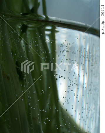 気泡 36511