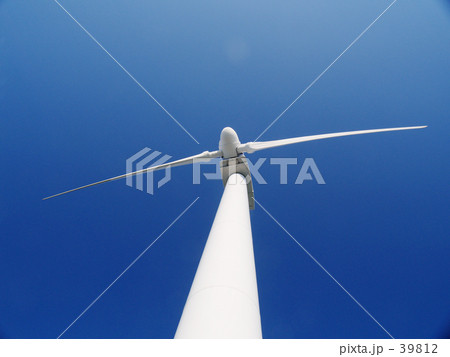 この青空をいつまでも 39812