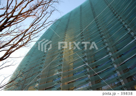 下から見た建物と木 下から見た建物と木 39838