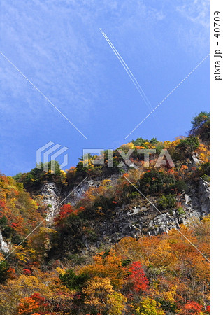 紅葉に飛行機雲 紅葉に飛行機雲 40709