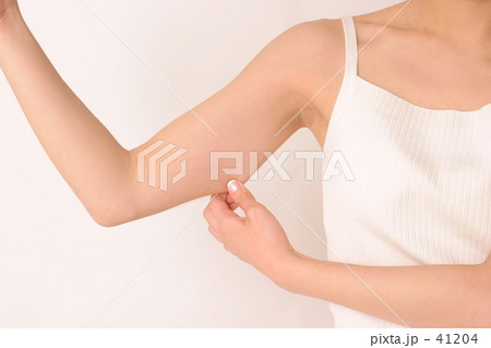 41204
