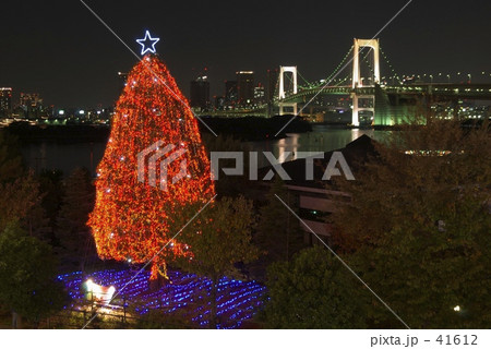 レインボーブリッジとツリー 41612