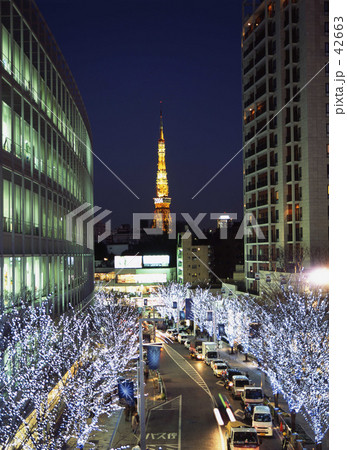 けやき坂のクリスマス けやき坂のクリスマス 42663