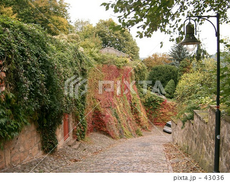 ドイツ 中世の道 ドイツ 中世の道 43036