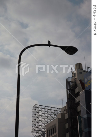 鳩街灯 44553