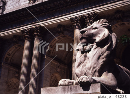 ニューヨーク公立図書館 48228