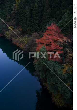 紅葉の奥多摩 48782