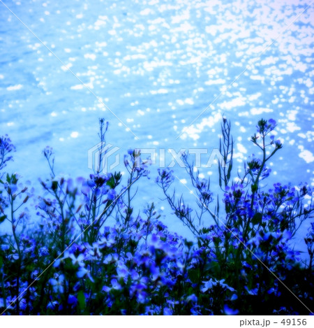 Sentimental blue　6　- brightness- 49156