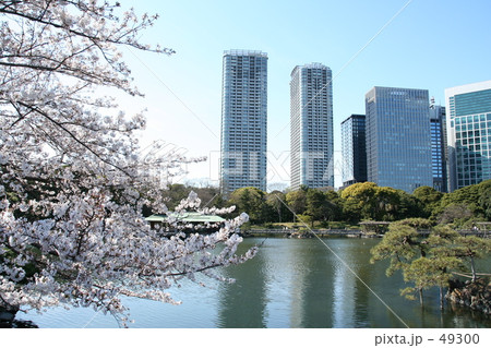 都会の庭園 49300