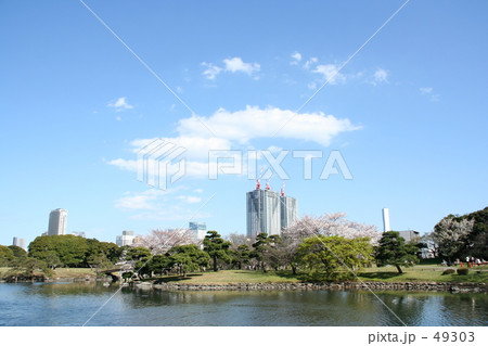 都会のオアシス 49303