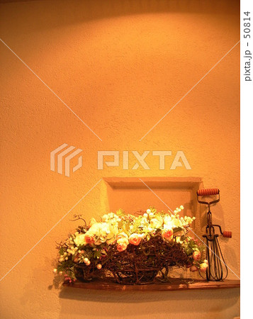 ディスプレイ 50814