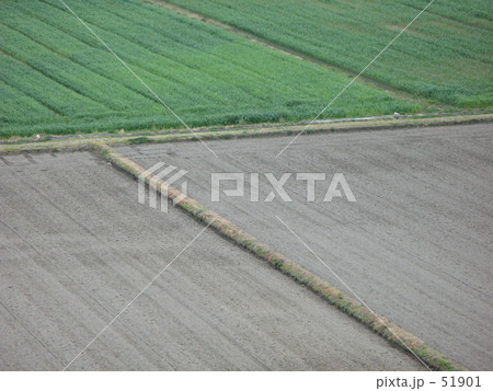 田植え近し 51901