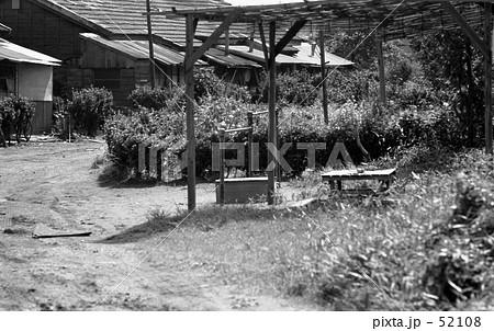 横浜・三ッ沢にて　昭和４５年６月 52108