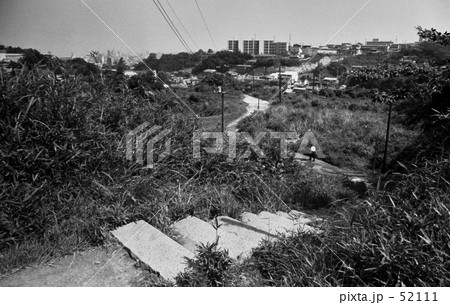 横浜・三ッ沢にて　昭和４５年６月 52111