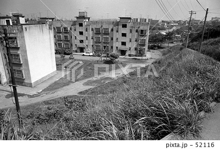 横浜・三ッ沢にて　昭和４５年６月 52116