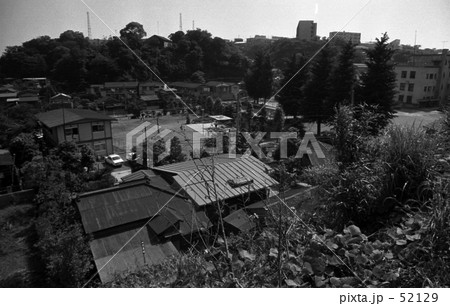 横浜・三ッ沢にて　昭和４５年６月 52129