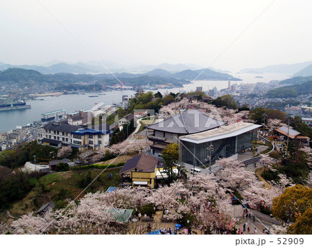 千光寺公園 52909