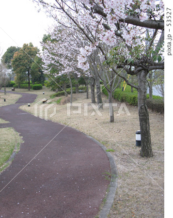 遊歩道 53527