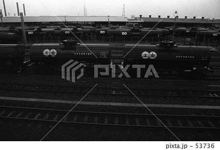 横浜・根岸にて　昭和４５年６月 53736