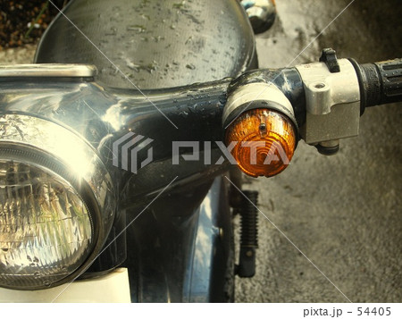 ぬれたカブ 54405