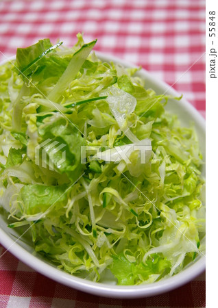 シンプルグリーンサラダ 55848