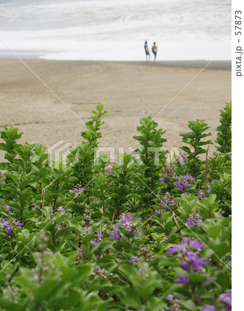 潮騒の子守唄 潮騒の子守唄 57873