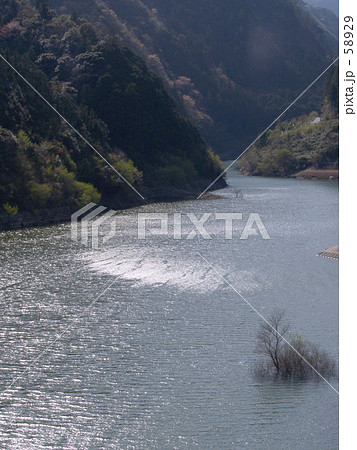 風渡る 風渡る 58929