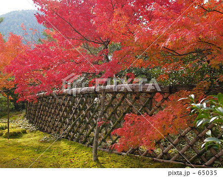 京都・光悦寺 京都・光悦寺 65035