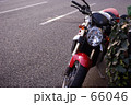 ブルターレ 66046
