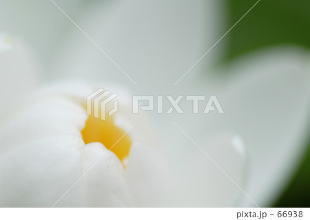 あす ひらく あす ひらく 66938