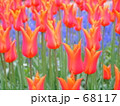 眩しいっ！ 68117