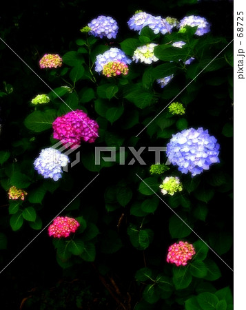 pH芸術 68725