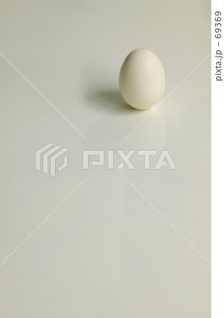 タマゴ タマゴ 69369