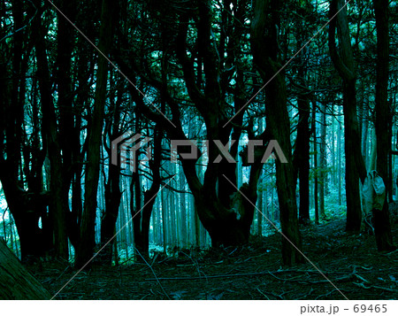 暗い森 69465
