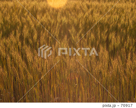 太陽ゴーストの黄昏 70917