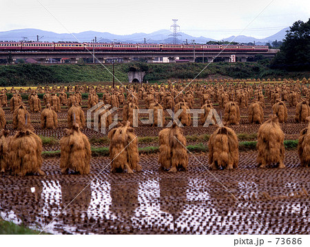 JNR・急行「まつしま4号」1104M　東北本線 73686