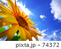 74372
