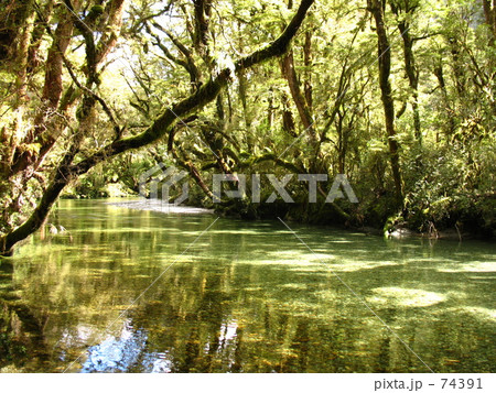 テ・ワヒポウナム世界遺産 74391