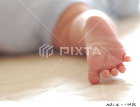 あかちゃんの足 74480