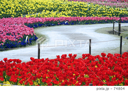 お花畑を眺めながら… お花畑を眺めながら… 74804