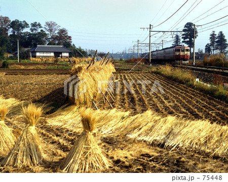 JNR・急行「つくばね」1712M 東北本線 JNR・急行「つくばね」1712M 東北本線 75448