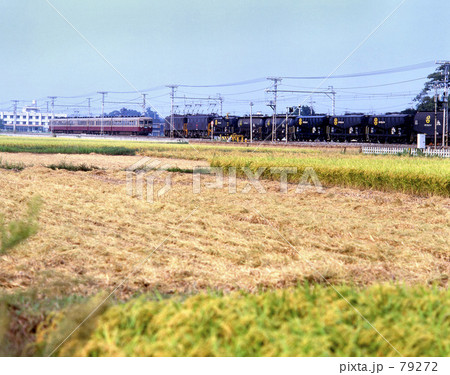 東武鉄道・伊勢崎線内 快速6000系車両 東武鉄道・伊勢崎線内 快速6000系車両 79272