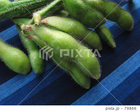 きりなくつまむ きりなくつまむ 79866