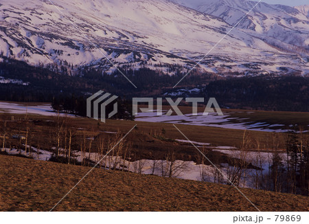 残照の牧場 残照の牧場 79869