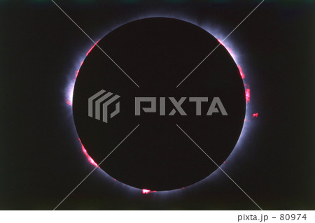 プロミネンス プロミネンス 80974