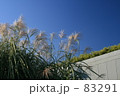 秋晴れ 83291