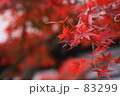 赤々と 83299